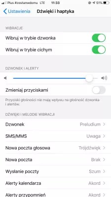 Why is the sound on my Apple iPhone not working : Sound settings in iPhone menu